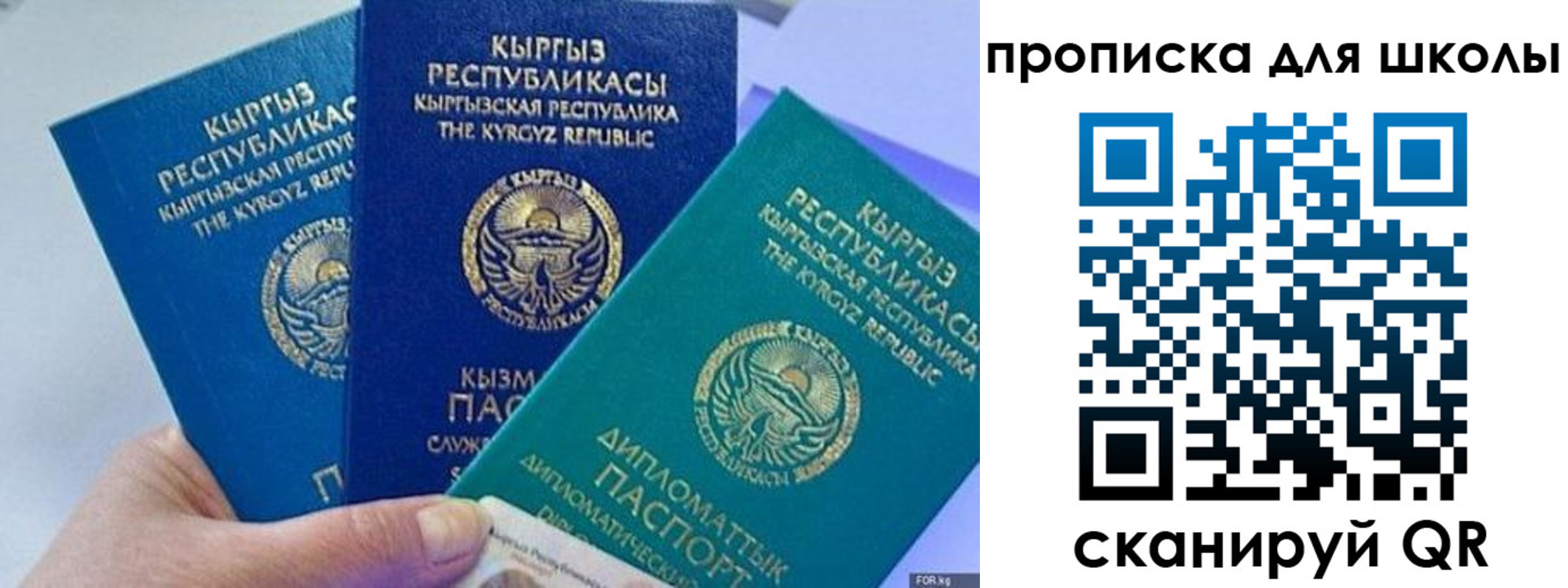 прописка регистрация в Тейково